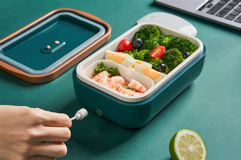 electric heating lunch box recipe|directly from freezer to lunch box.